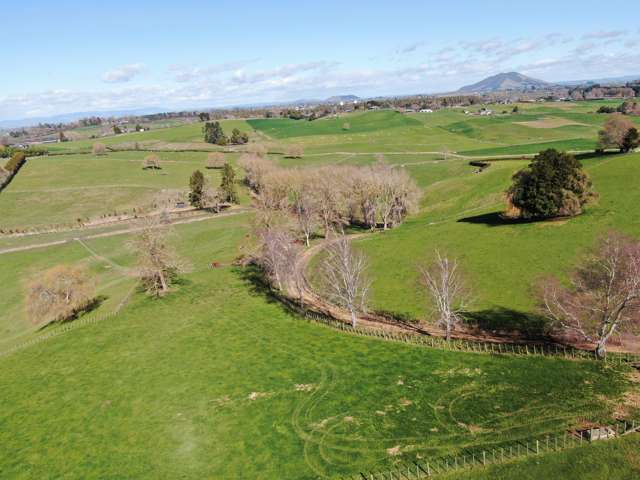 2/4798 Ohaupo Road Te Awamutu_1