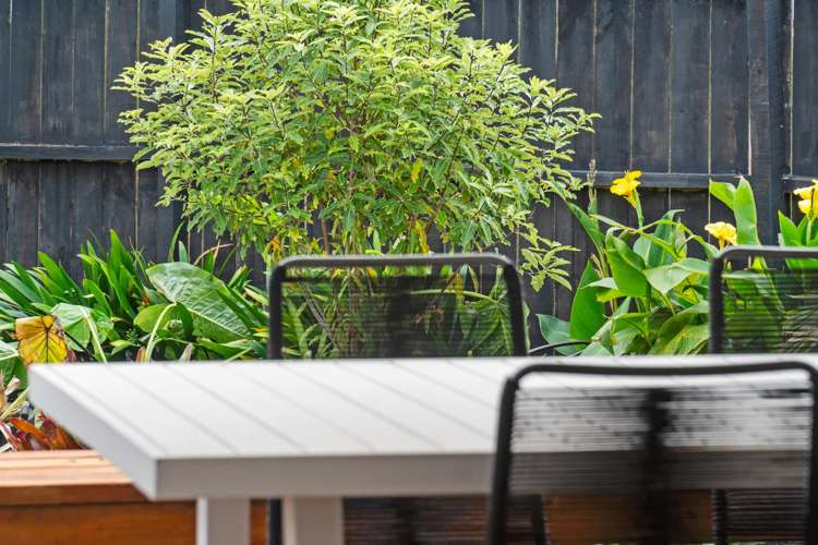 95 Ocean View Road Hillcrest_18