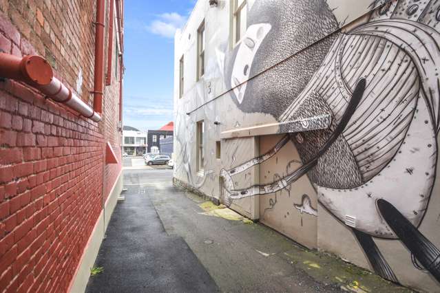 2/82 Bond Street Dunedin Central_1