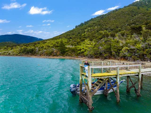 One Tree Point, Hikapu Reach, Pelorus Sound Marlborough Sounds_2