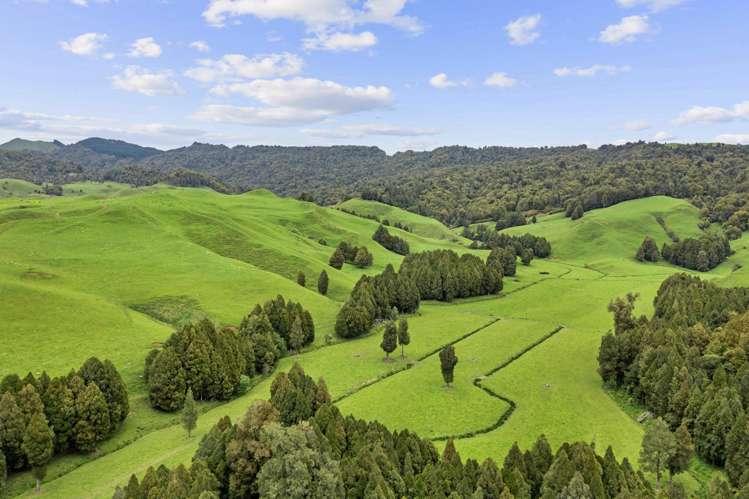 878 Mokauiti Road Aria_9