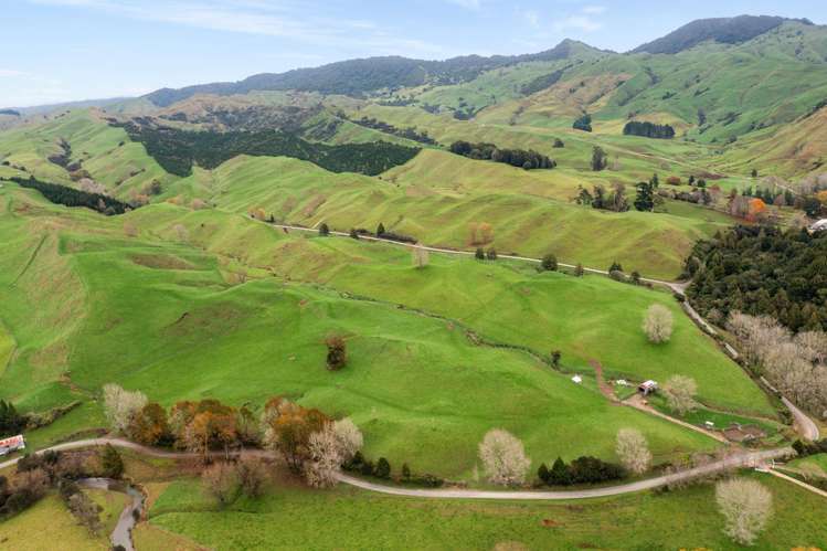 124 Haku Road Mangaotaki_10