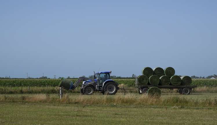 558 Seadown Road Seadown_10