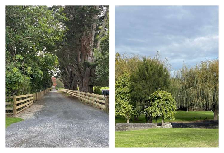 95A Whangapouri Road Karaka_32
