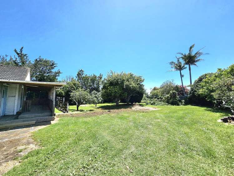 8 Hutchins Street 10858_14