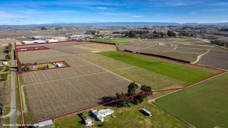 Kiwi Crunch Orchard Portfolio Twyford_23