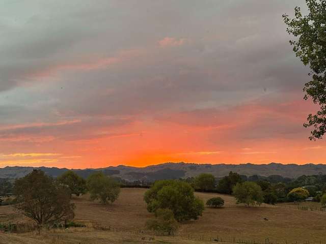 81 Jury Road Ngahinapouri_2