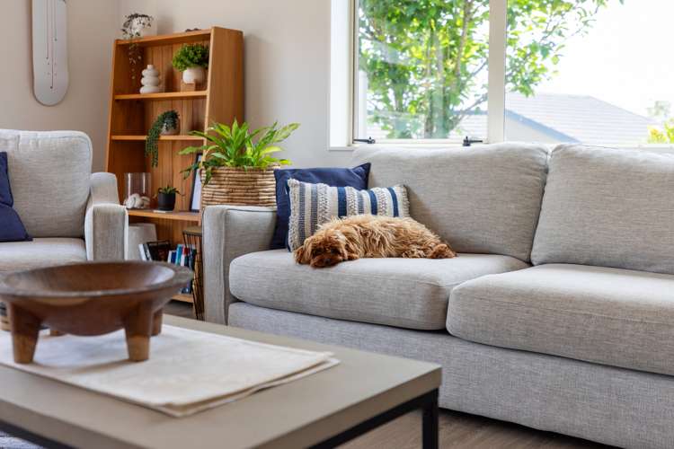 168 Carlton Street Bellevue_13