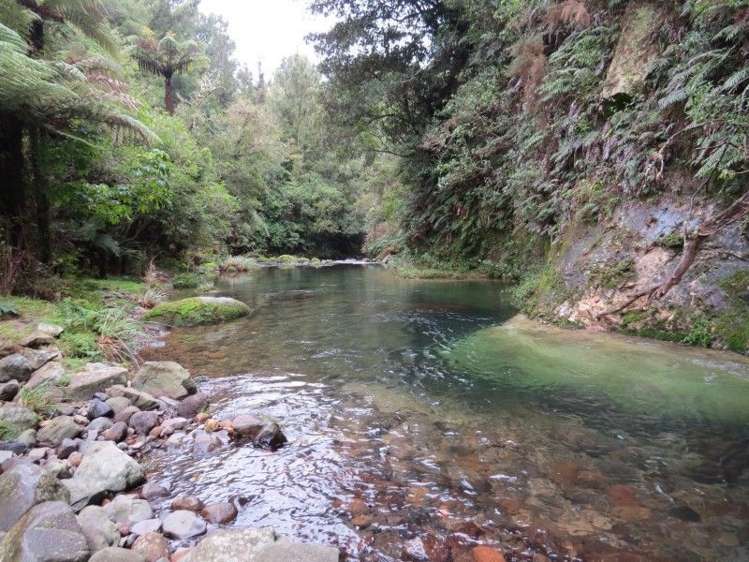 747a No 4 Road Te Puke_14