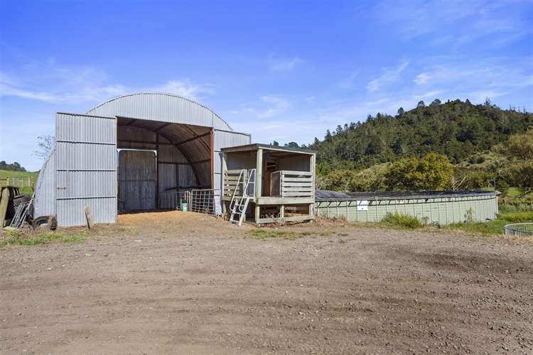 57 Hall Road Hikuai_16