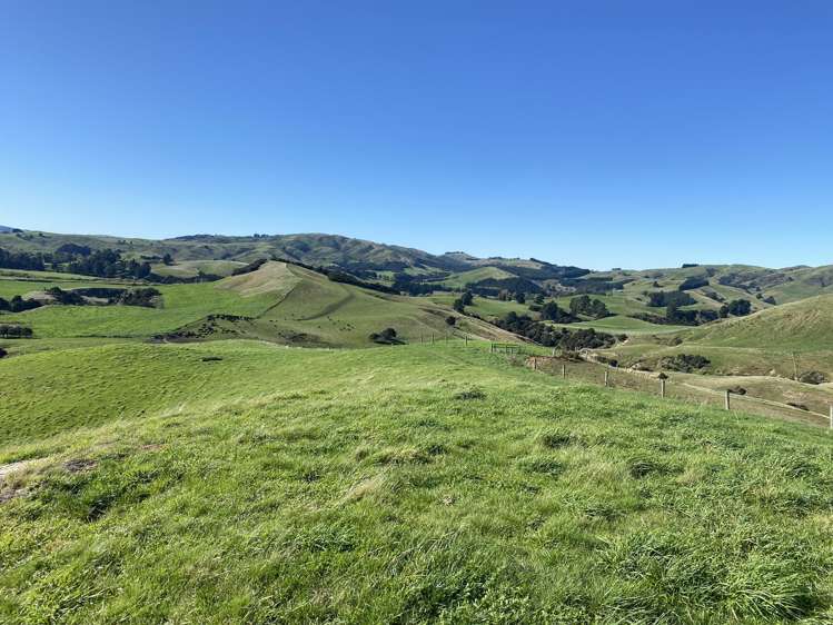 48 Heathfield Road Waipara_11