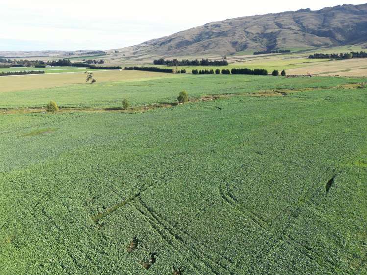 626 Gladbrook Road Middlemarch_22