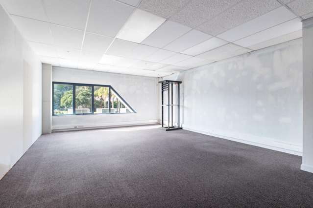 Professional office space