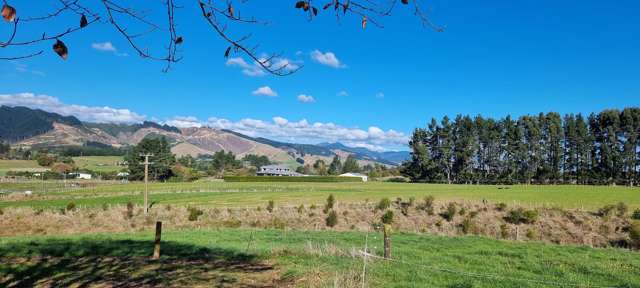 37 and 39 Tavistock Road Koputaroa_1