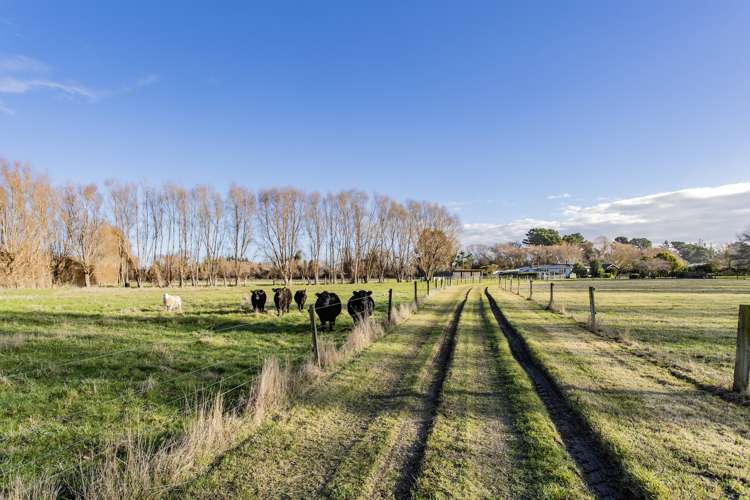 69 Kowai River Road Amberley_21