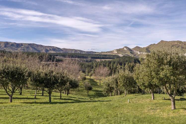 101 Laidmore Road Broomfield_12