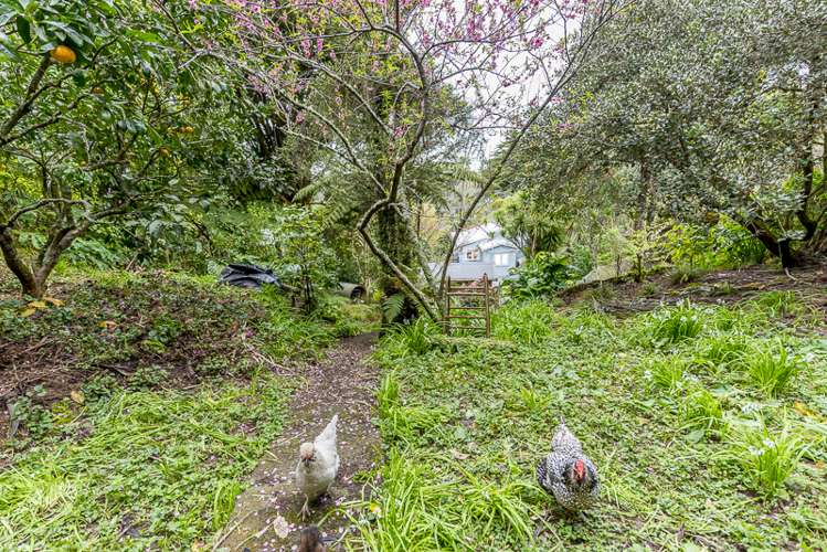 17 Laingholm Drive Laingholm_12