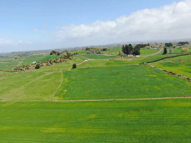 1375 State Highway 3 Otorohanga_1