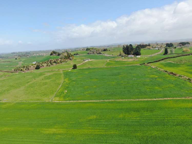 1375 State Highway 3 Otorohanga_1