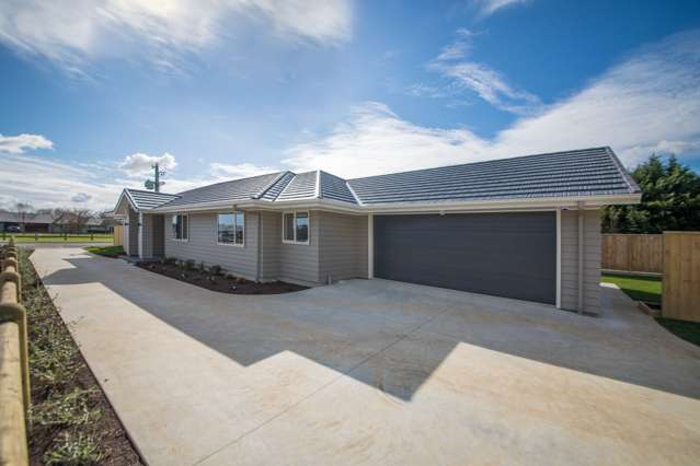 94 Pharazyn Street Feilding_2