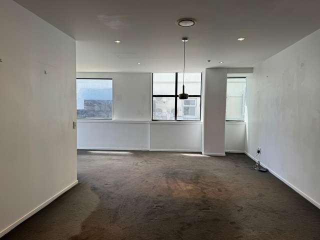 4B/15 Dixon Street Te Aro_1