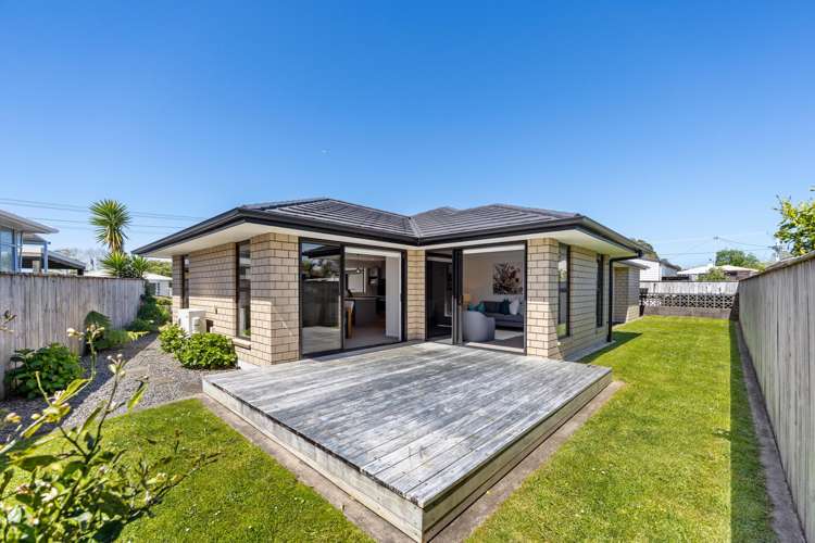 19 Hurdon Street New Plymouth_31
