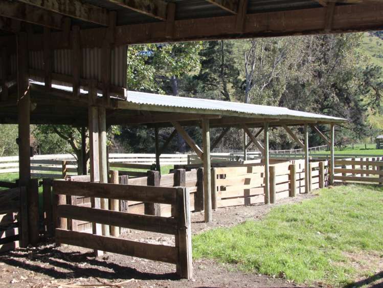 1007 Motunau Beach Road Motunau_13