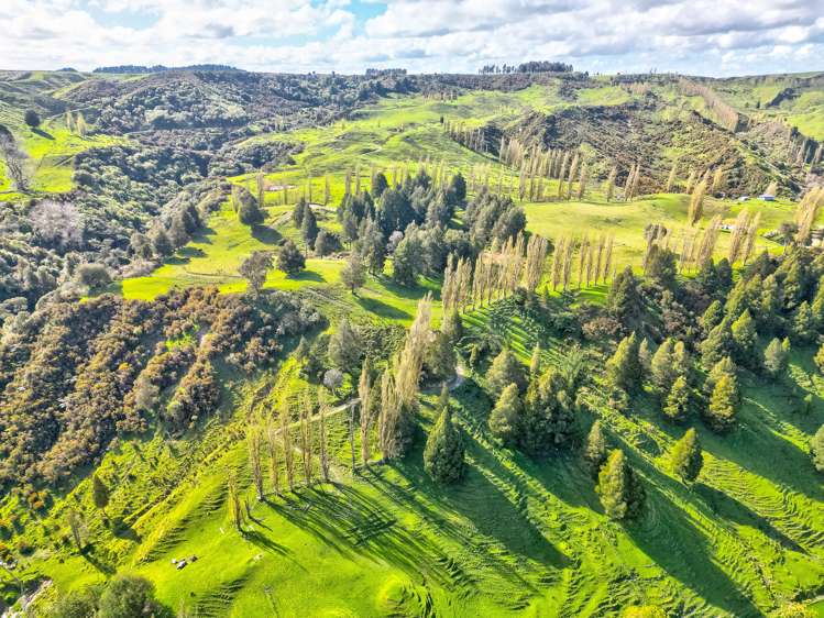 665 Longacre Road Okoia_23