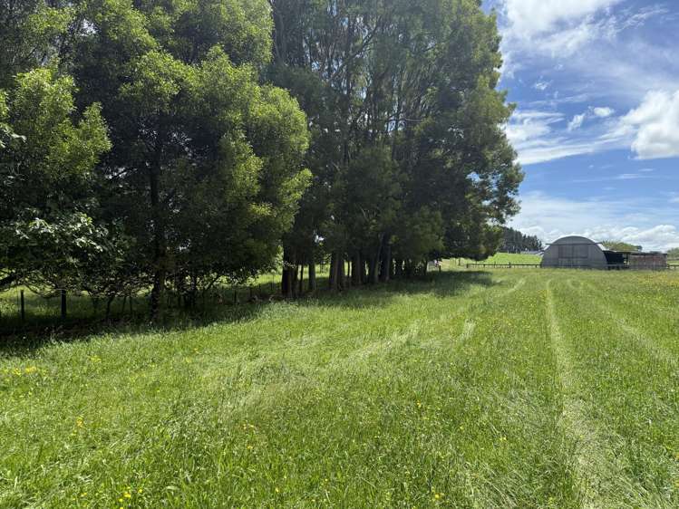 15 Scott Road Putaruru_20