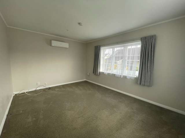 17 Duke Street Mount Roskill_1