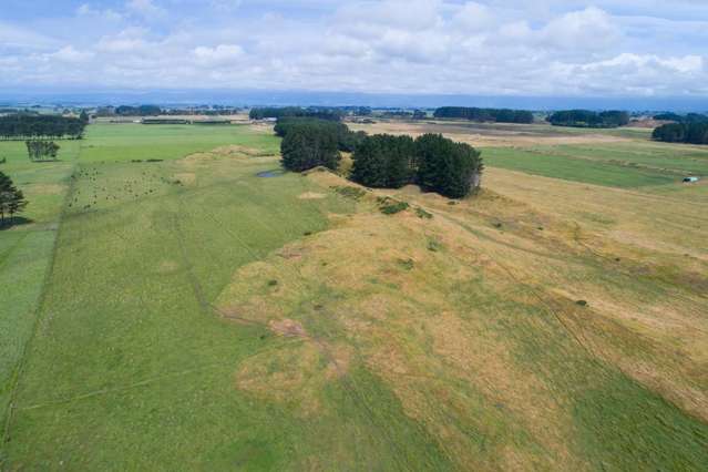 1145 Kellow Road Glen Oroua_4