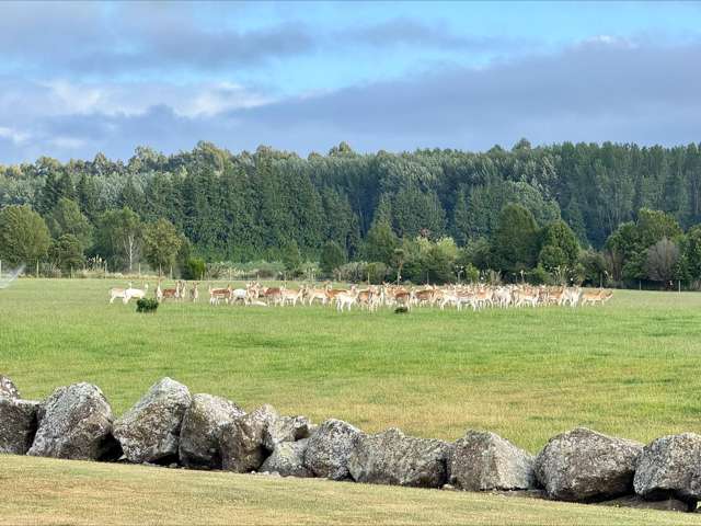 18 Meadowlinks Lane Pleasant Point_4