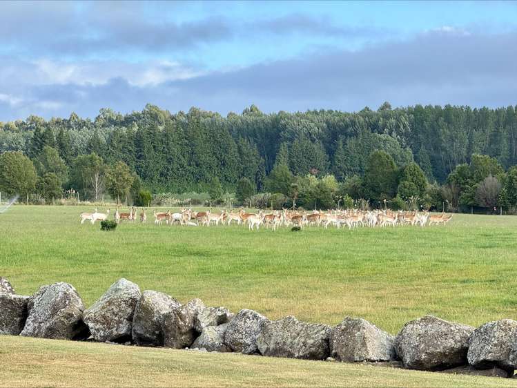 18 Meadowlinks Lane_4