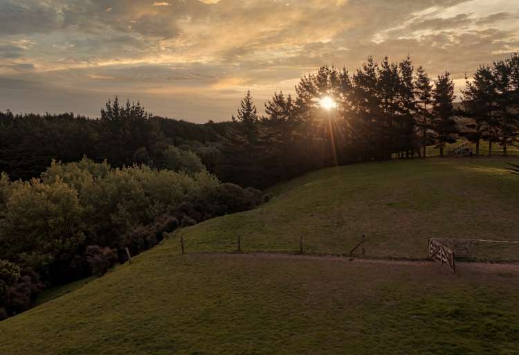 20 Coroglen Rise Pukerua Bay_18