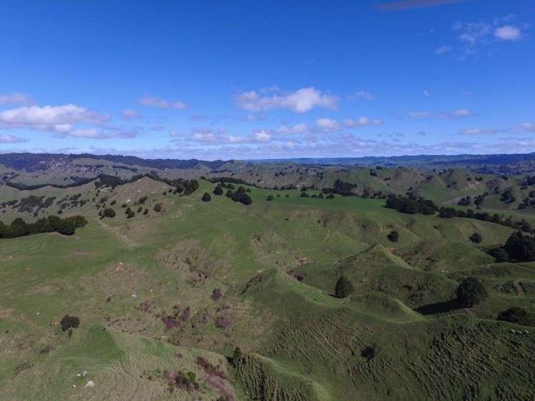1190 Ohura Road Waimiha-Ongarue_7
