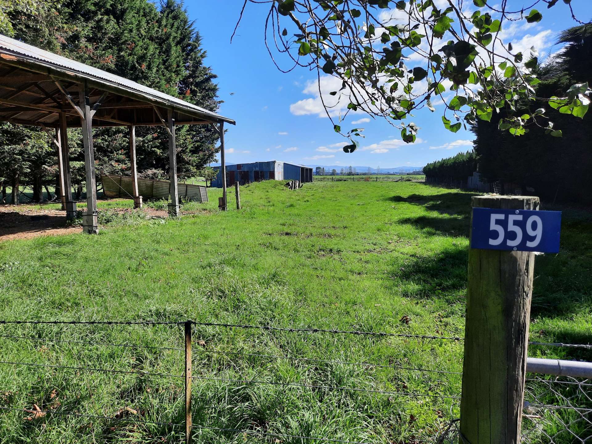 559 Timaru - Temuka Highway Levels_0
