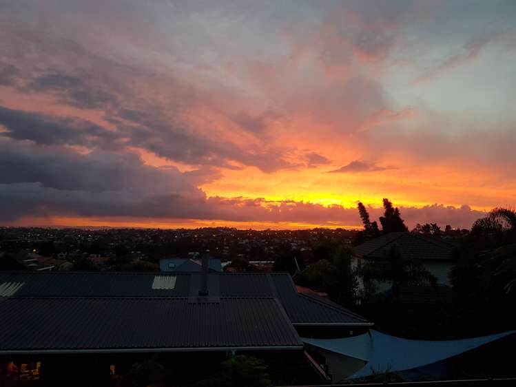 1/2c Sunnynook Road Sunnynook_30