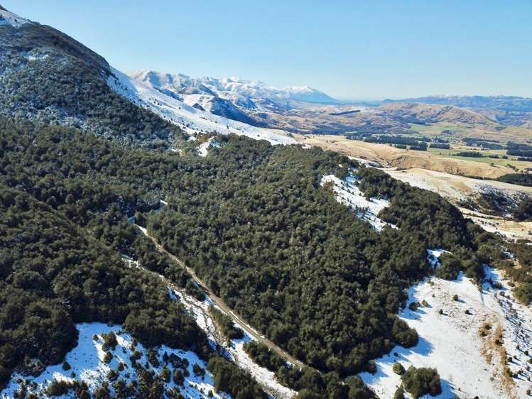 100 Mount Lyford Forest Drive Lyford_14