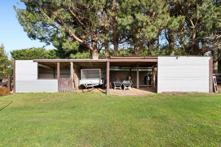 1680 Hoskyns Road Kirwee_26