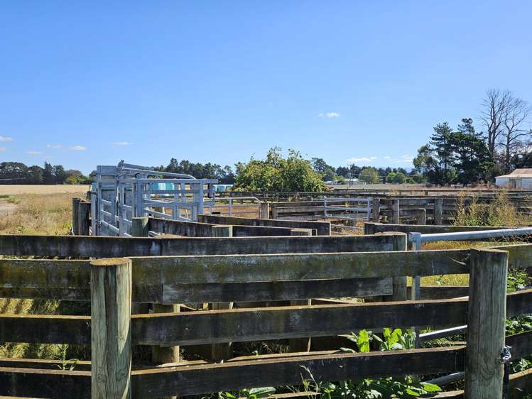 458 Wakarara Road Ongaonga_7