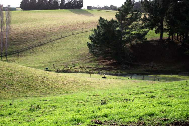 118 Old Port Road Catlins Surrounds_16