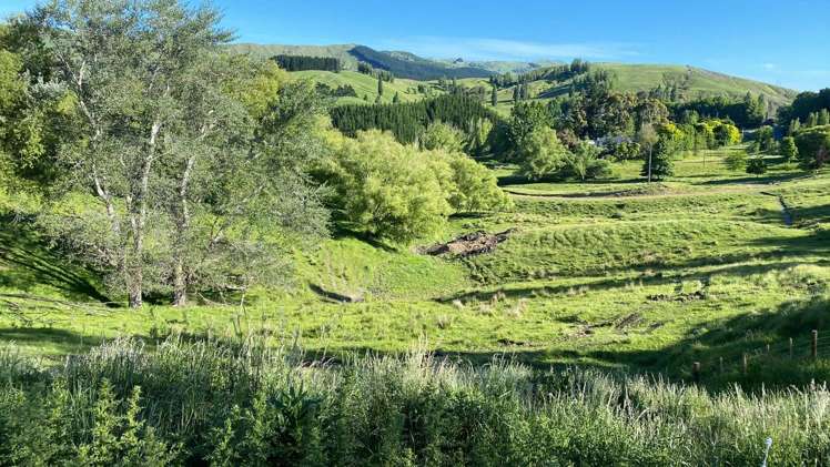 1601 Kahuranaki Road Havelock North_7