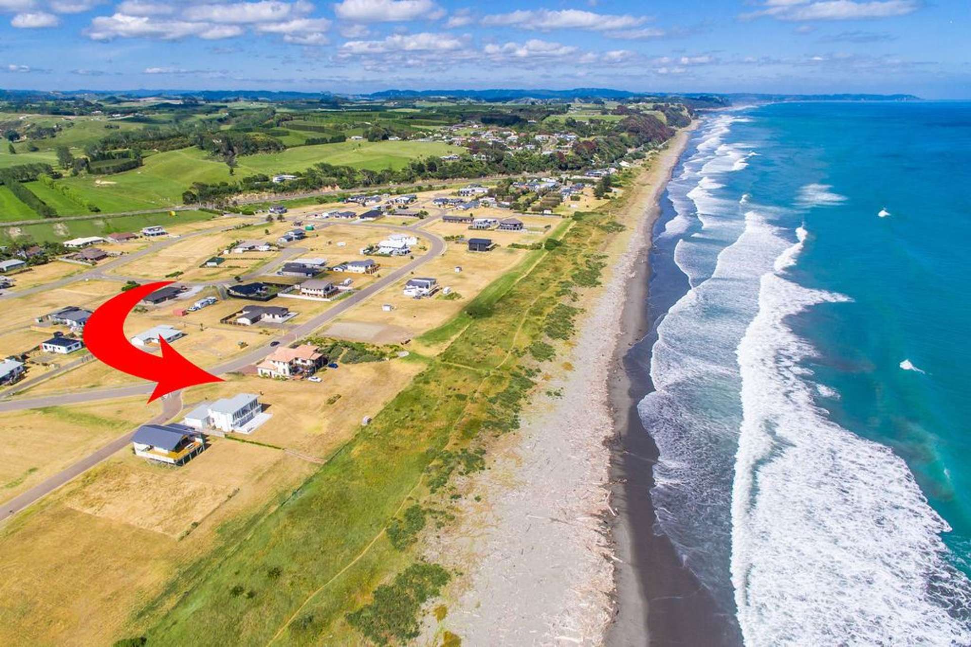 1 Rimu Rimu Key Opotiki and Surrounds_0