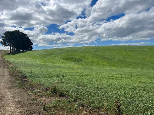 381 Island Stream Road Maheno_4