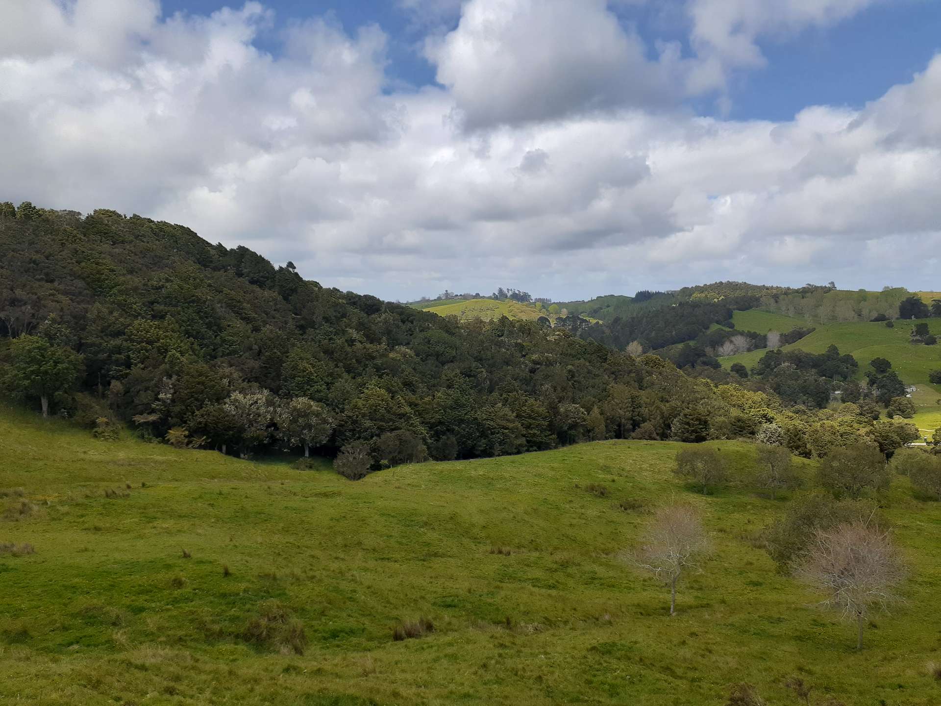 171 Arcadia Road Paparoa_0