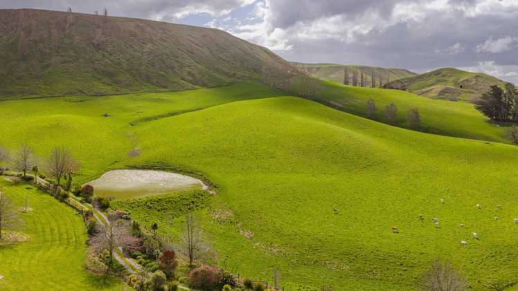 352 Hatuma Road Waipukurau and Surrounds_8
