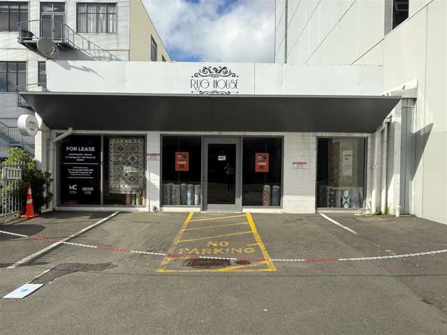 11 College Street Te Aro_1