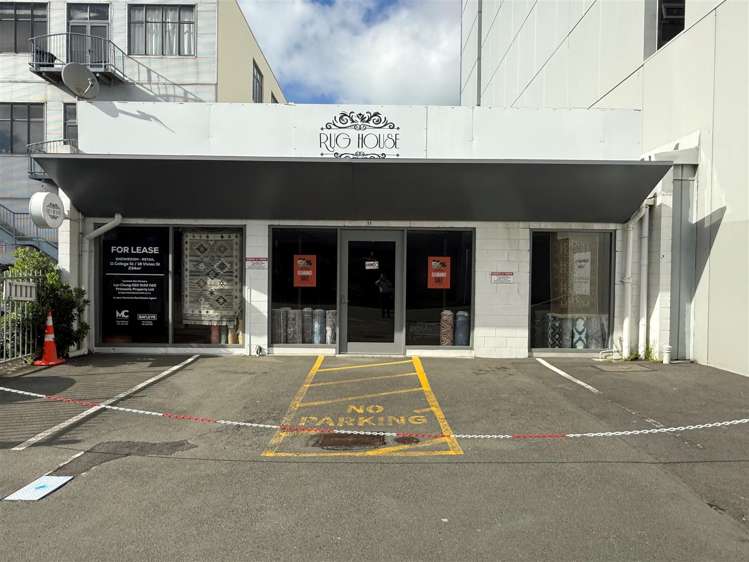 11 College Street Te Aro_1