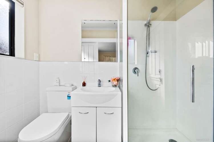 25 Mandival Avenue Flat Bush_12