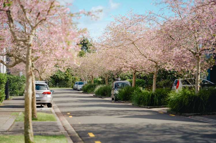 40 Buckley Avenue Hobsonville_28